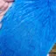 Whiting American Rooster Cape in Kingfisher Blue